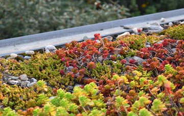 the cost of Forge Hammer green roof installation