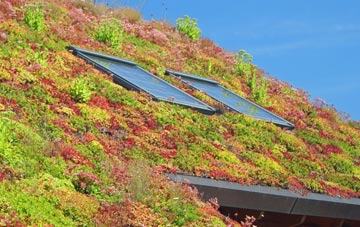 Forge Hammer living roof systems
