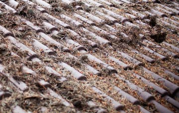 Forge Hammer roof cleaning companies