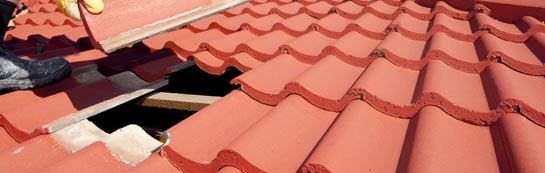 compare Forge Hammer roof repair quotes